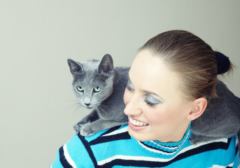 why do cats love to perch on shoulders?