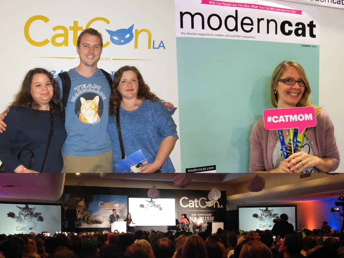 LEFT- Chris and CAM fans • RIGHT- Jess at the Modern cat selfie booth • BOTTOM- Cat Chat :) 