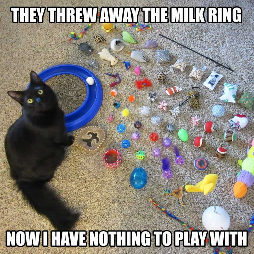milk ring cat toy