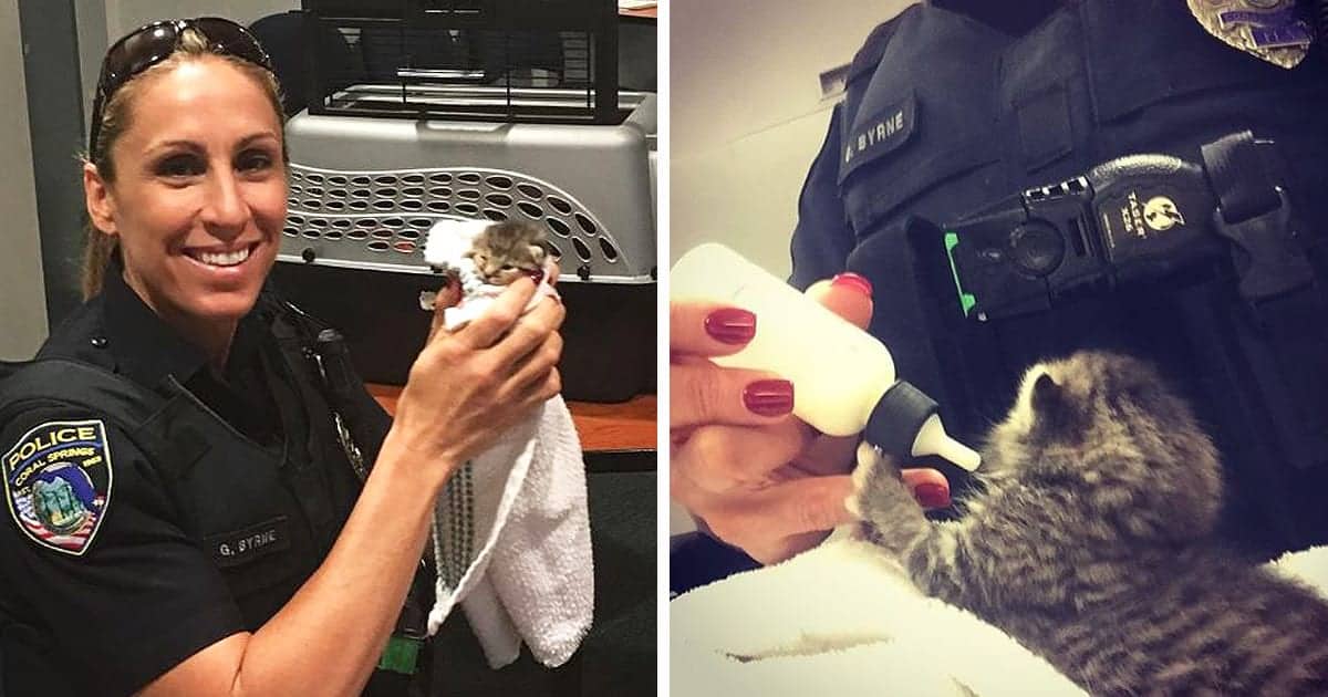 Despite allergy, Bradenton Police Officer rescues kitten