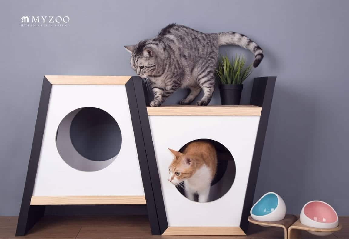 Unique "Catification" Designs Are Something Out Of This World! Cole