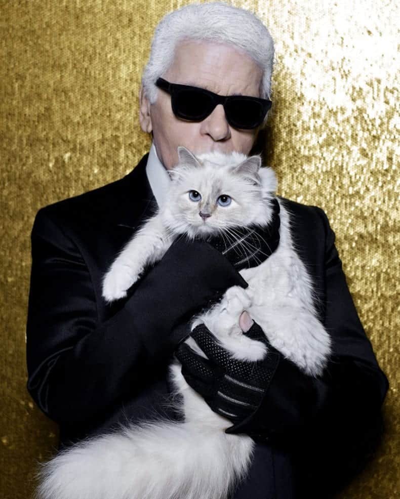 Karl Lagerfeld's Cat Set To Inherit A Record Breaking Fortune - Cole ...