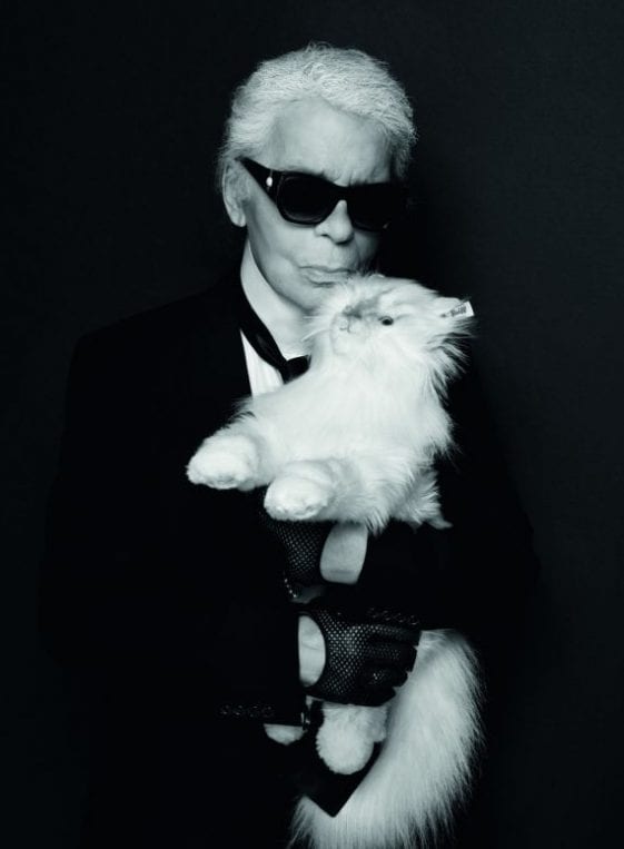 Karl Lagerfeld's Cat Set To Inherit A Record Breaking Fortune - Cole ...