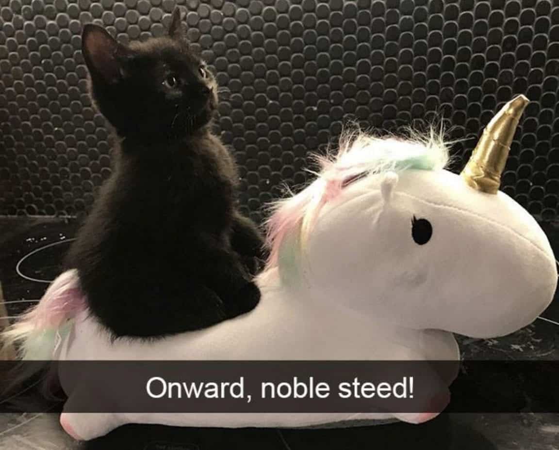 No End In Sight For the Unicorn Cat Trend As Kellogg's Releases