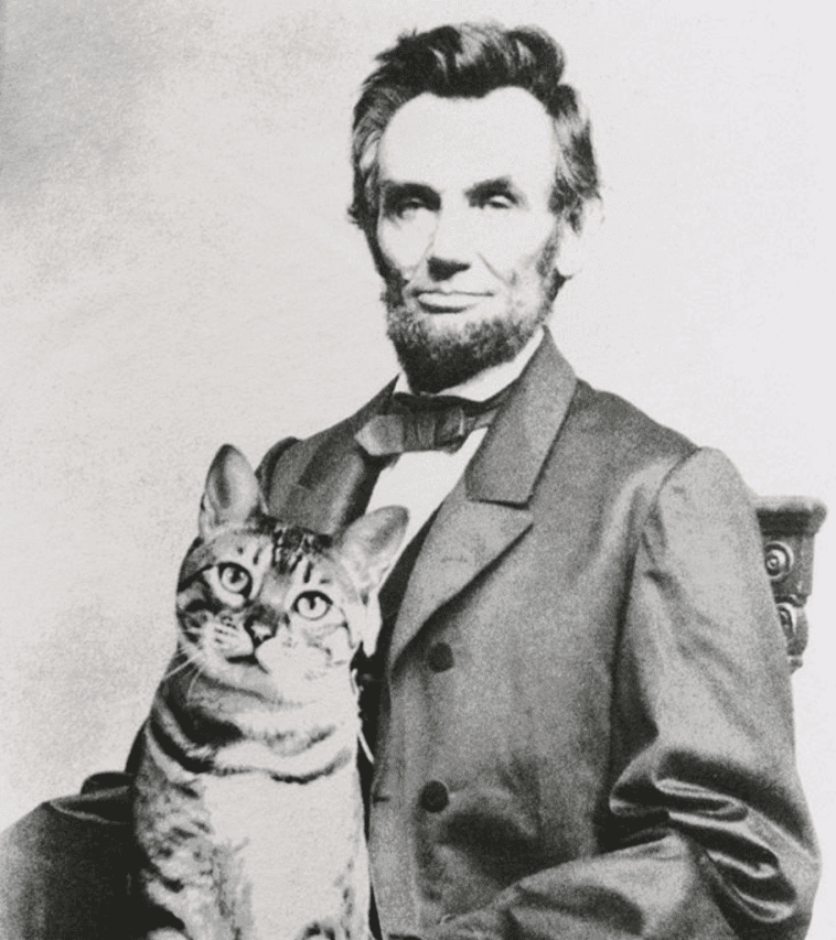 Famous Cat Lovers In History - Cole & Marmalade