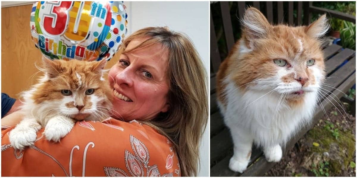 World S Oldest Living Cat Celebrates His 30th Birthday Cole Marmalade