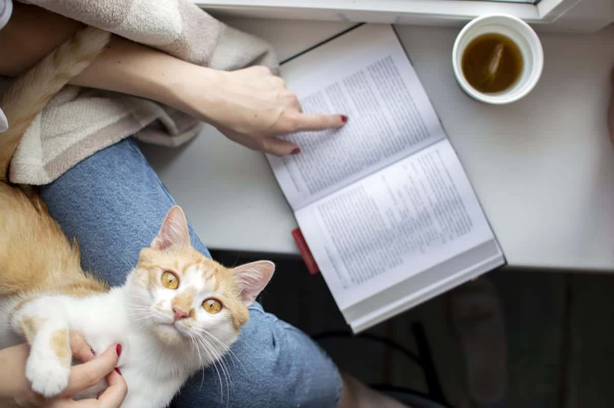 Purrfect Literary Cat Names For Your Feline Friend - Cole & Marmalade