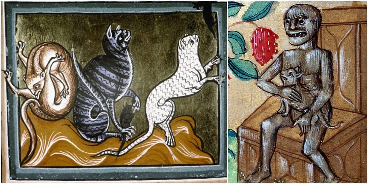 medieval cat paintings barnorama ...