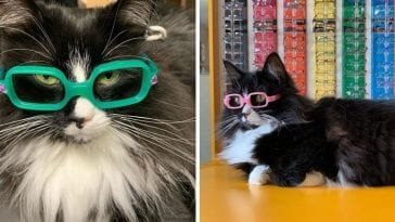 wearing glasses