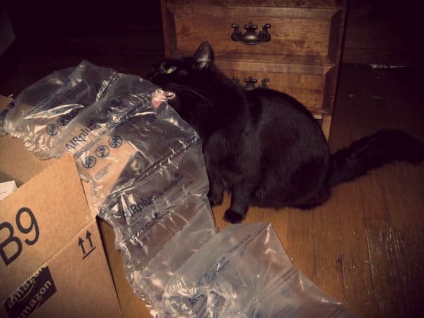 why cats lick plastic