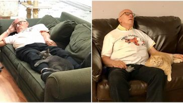 cat grandpa