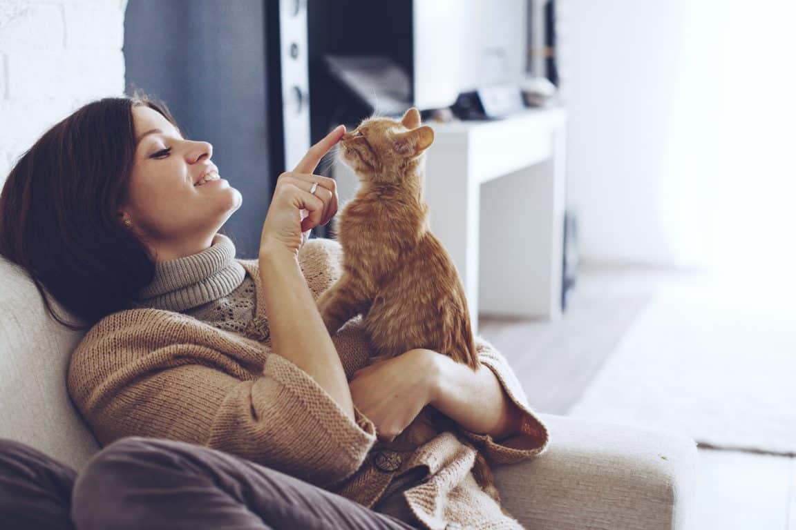Why Cats Headbutt, And Should You Headbutt Them Back? Cole & Marmalade