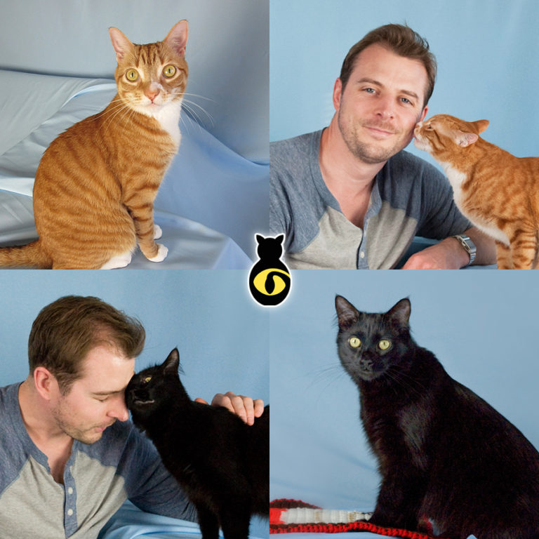 Why Cats Headbutt, And Should You Headbutt Them Back? Cole & Marmalade