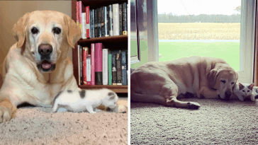 best friends