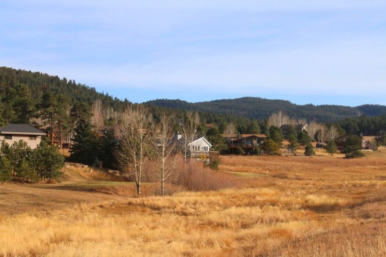 Rare Trap Camera Video Shows Colorado Mountain Lion Relaxing By