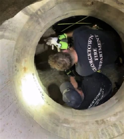 Fireman Make Life Saving Catch As Kitten Flushed Out Of Storm Drain In