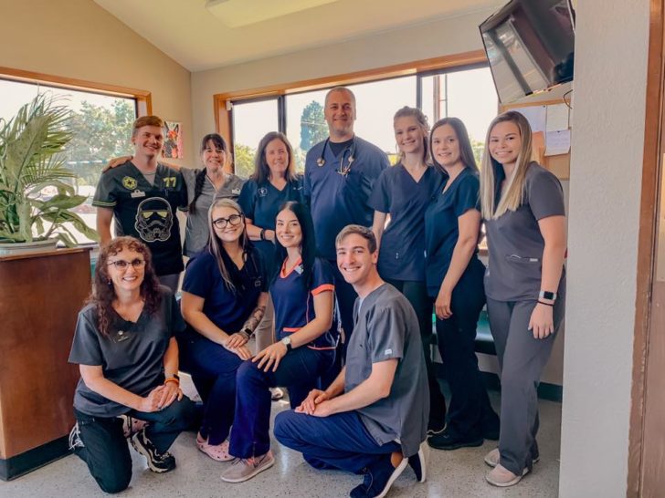 Pets Saved At Phoenix Vet Clinic Before Losing The Building To Almeda Fire Cole & Marmalade