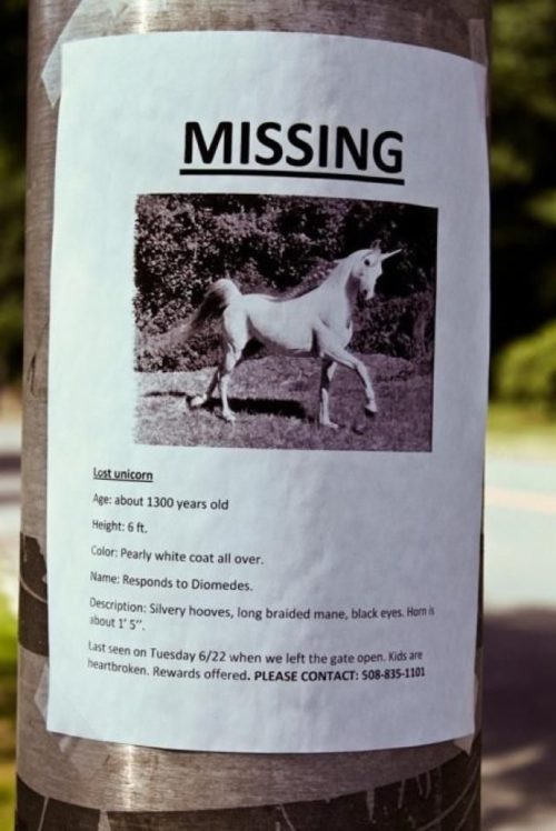 Best Lost And Found Pet Signs Help Bring Attention & Smiles To ...