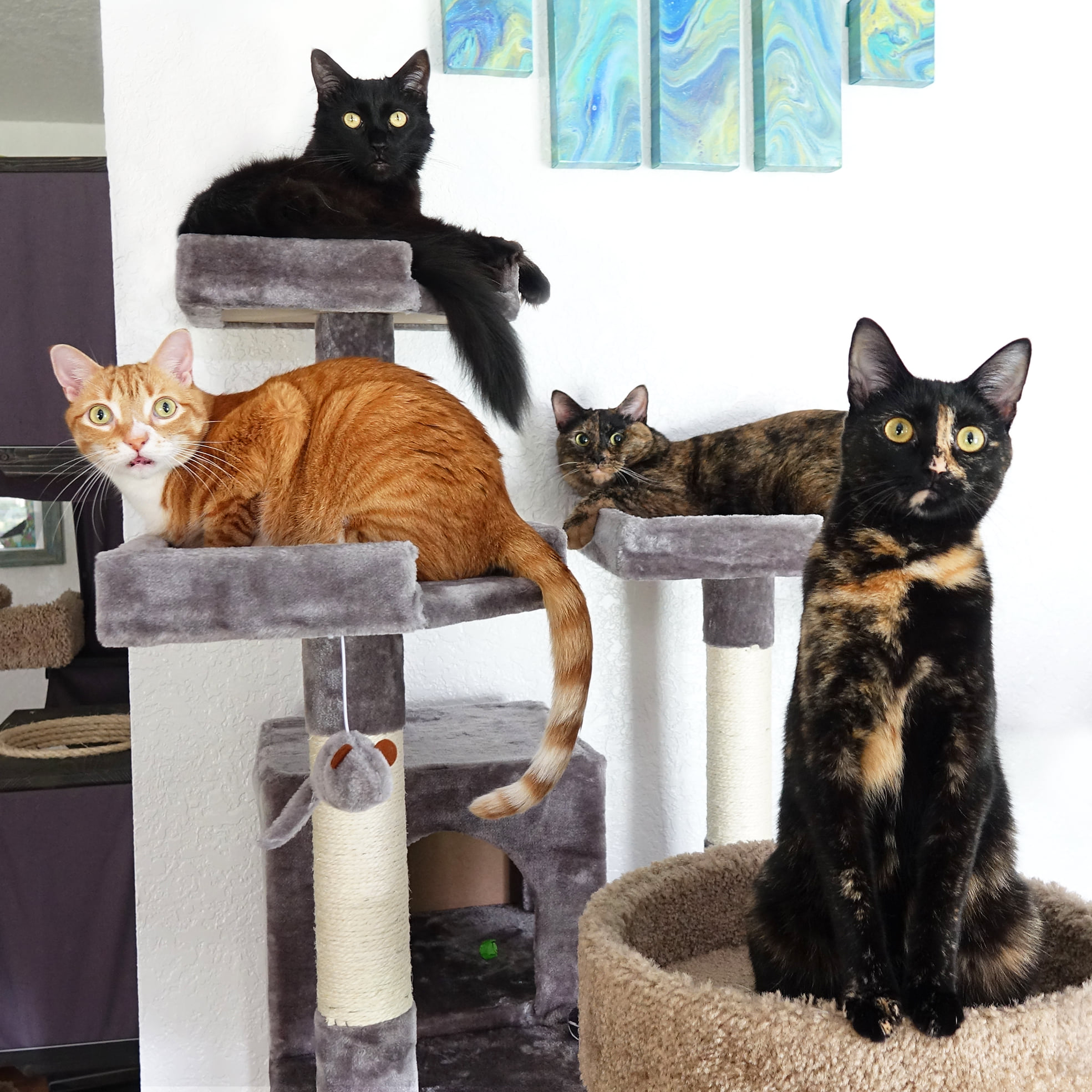 117342254_3569355693097220_6842728429452331509_o