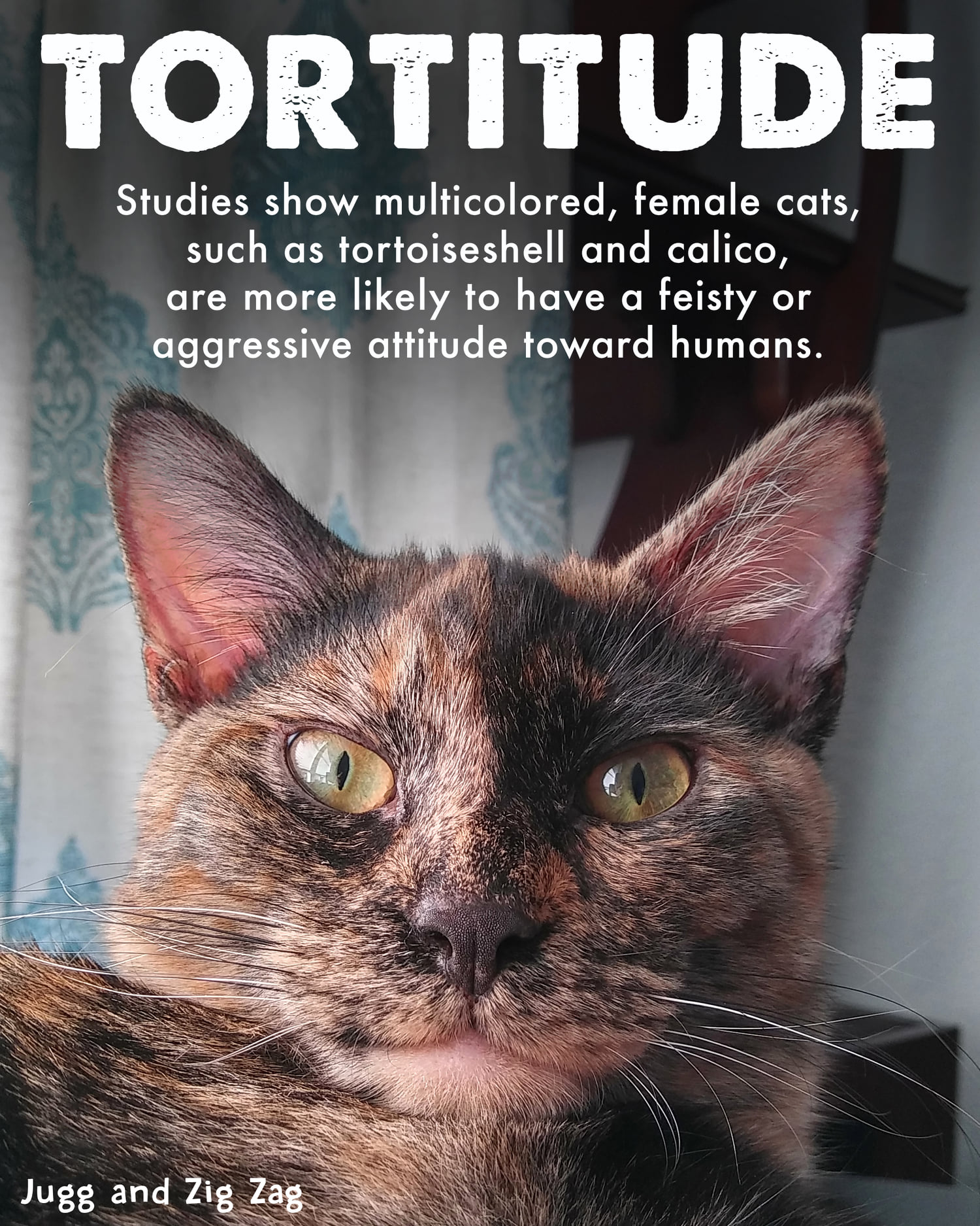 137332366_250285703135895_3913932615375204501_o