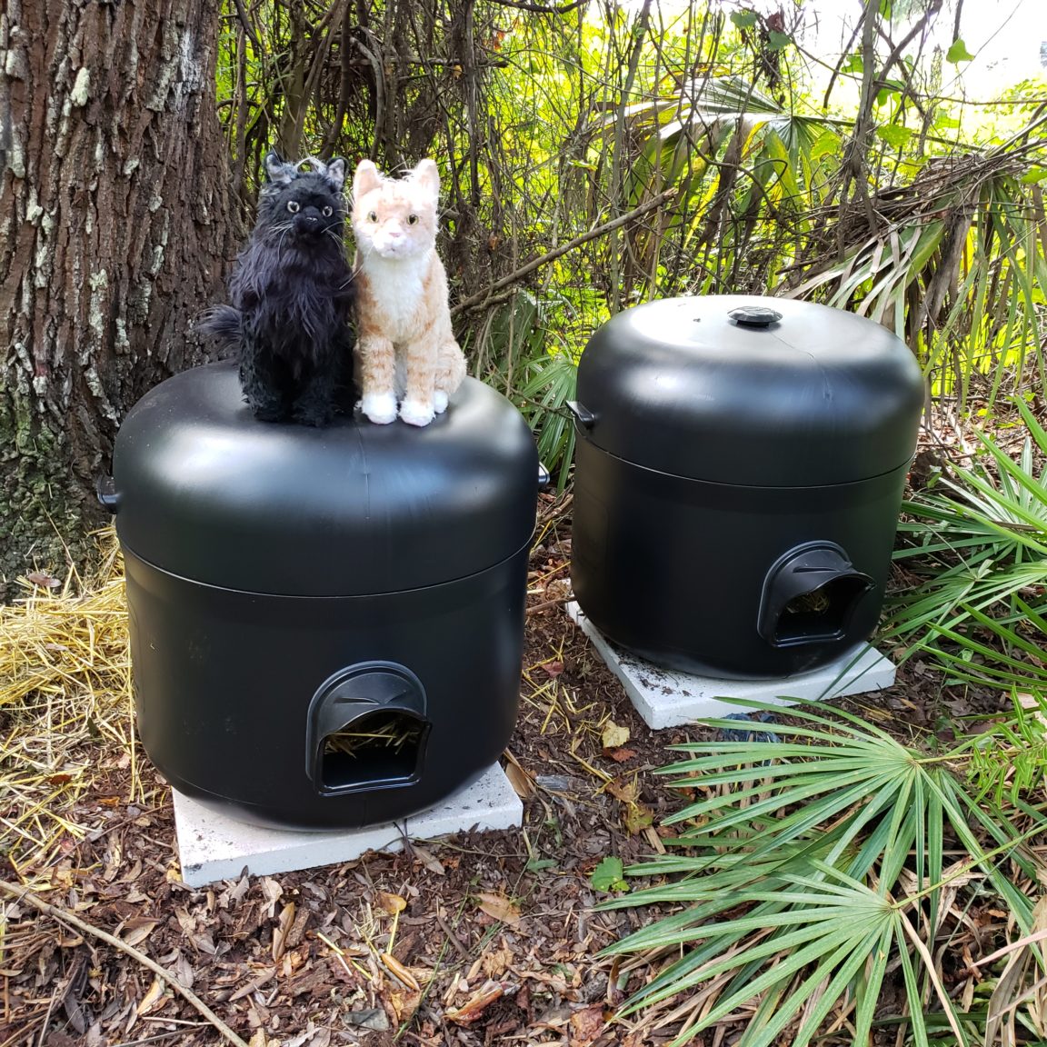 How To Build A Feral Cat Shelter - Cole & Marmalade