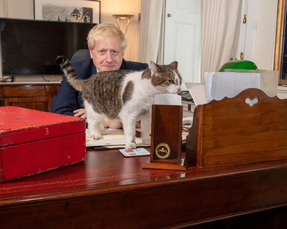 Larry The Cat Celebrates 10 Years As Country's "Official Mouser" Cole
