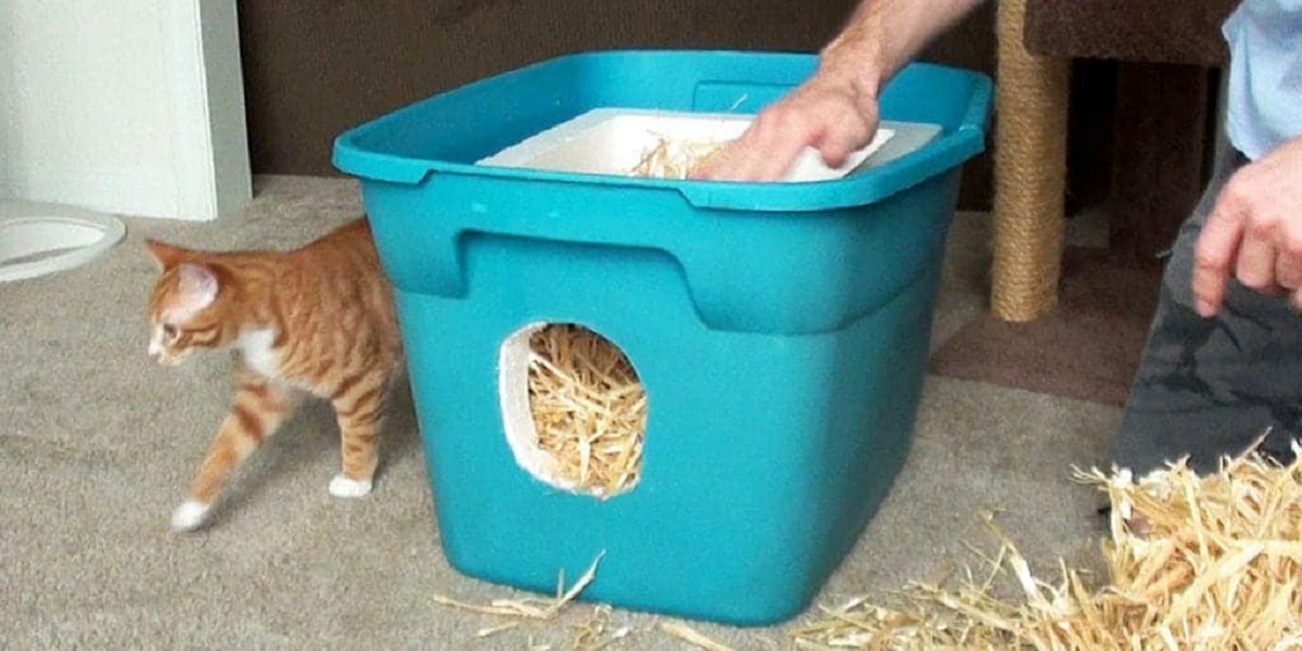 How To Build A Feral Cat Shelter Cole Marmalade - Diy Insulated Feral Cat Shelter
