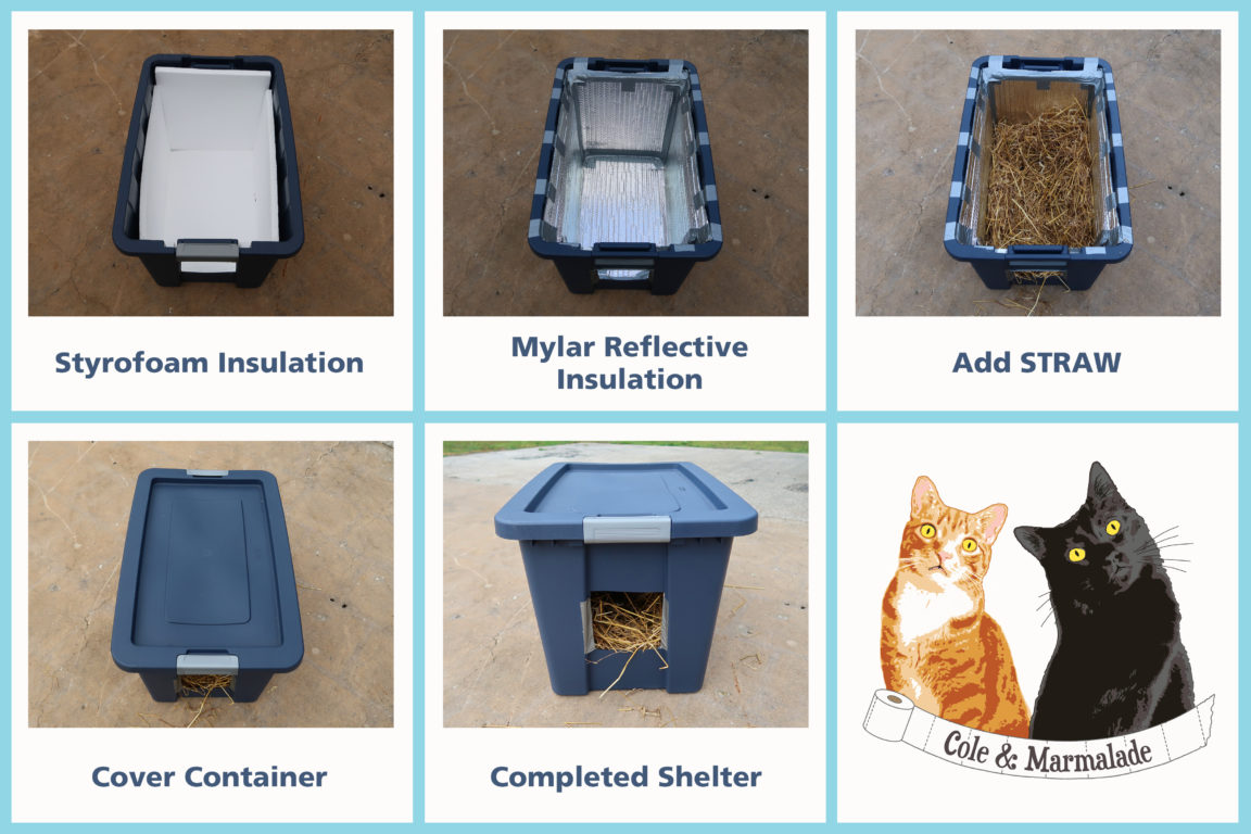 How To Build A Feral Cat Shelter Cole Marmalade   How To Make Cat Shelter Copy 1152x768 