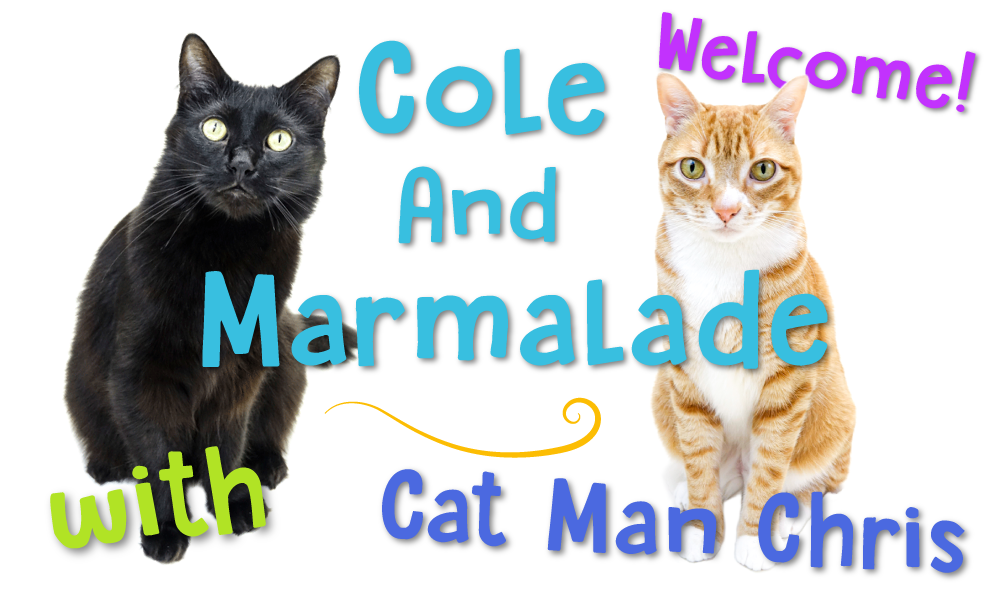 Cat Coat Patterns: 10 Interesting Facts That You'll Love - Cole & Marmalade