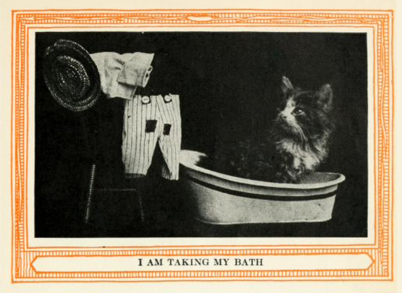 I am taking a bath, Kittens and Cats: A First Reader,