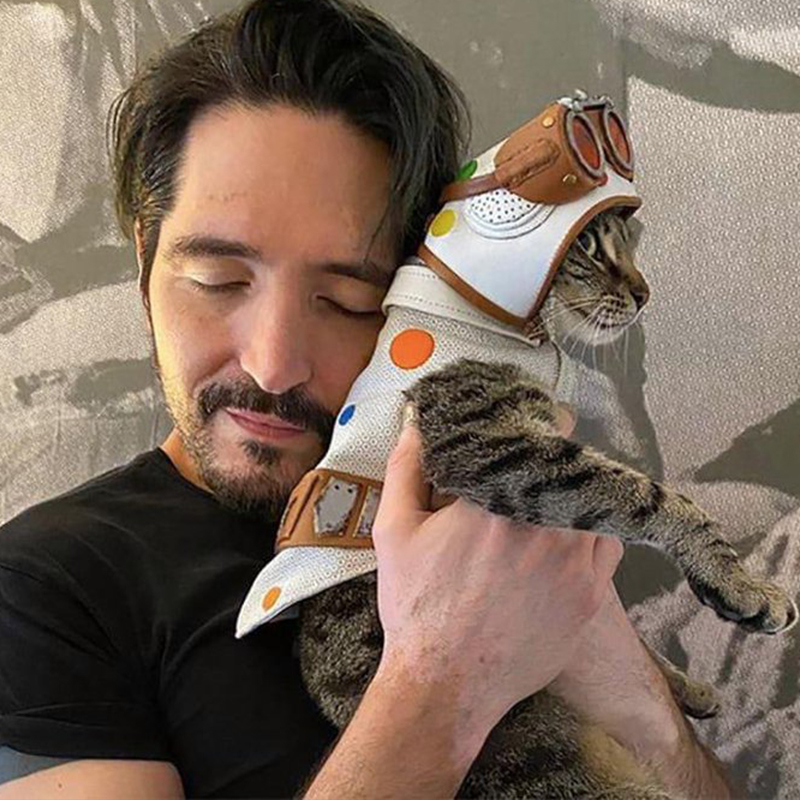 Celebrities Who Don’t Mind Sharing the Spotlight with Cats