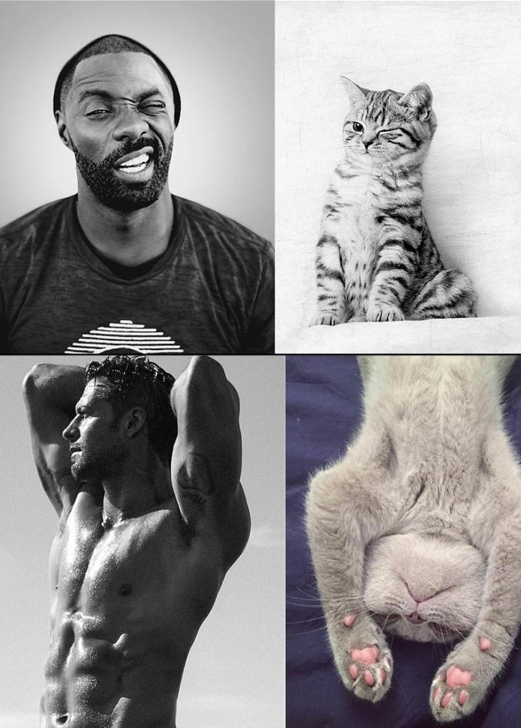 Sexy men and cats 1