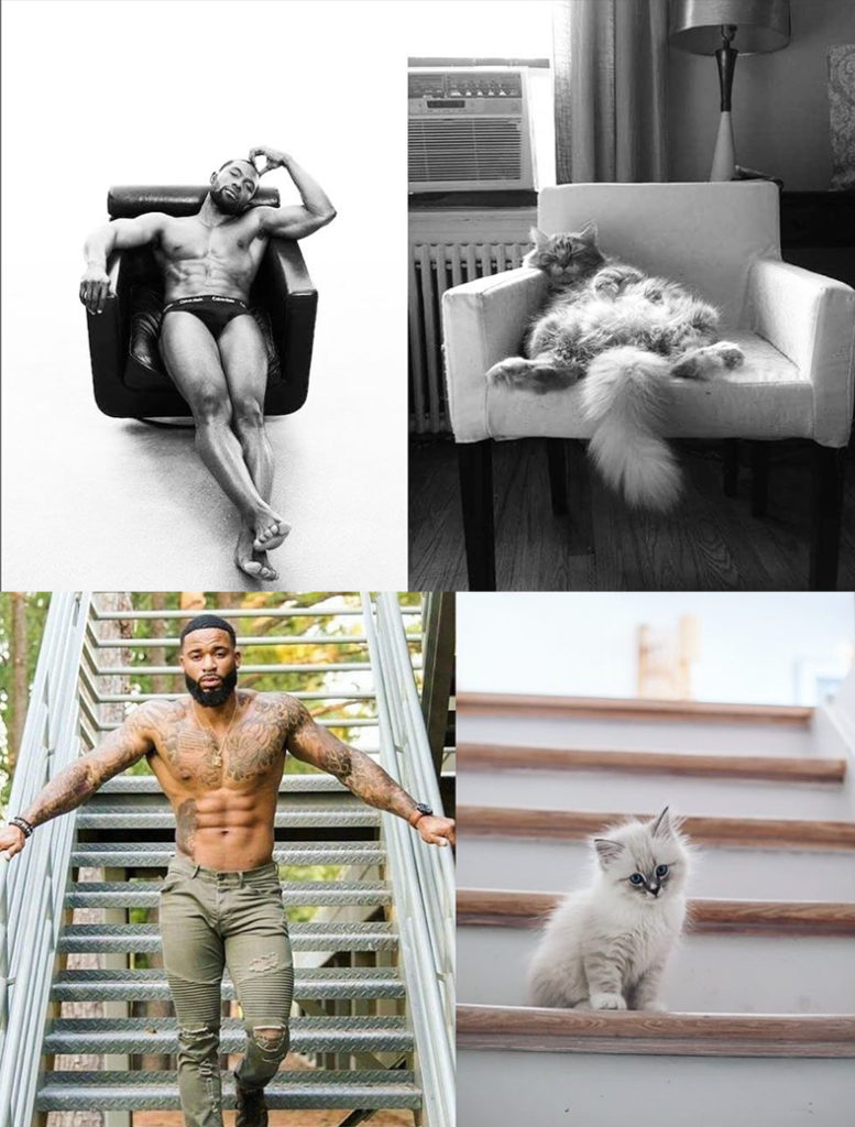 men with cats 