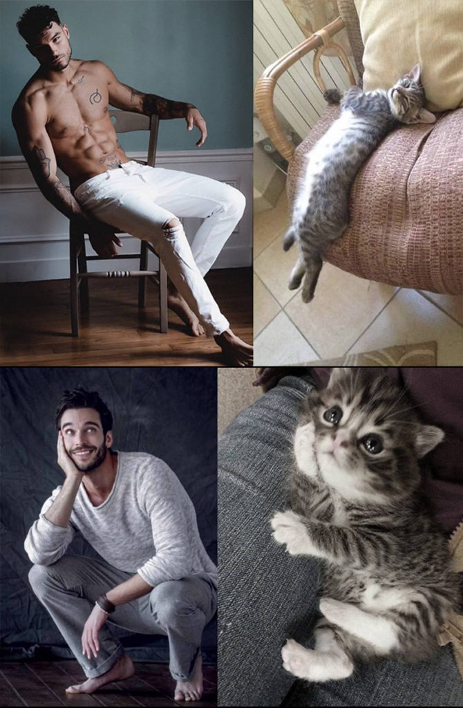 Sexy men and cats 2