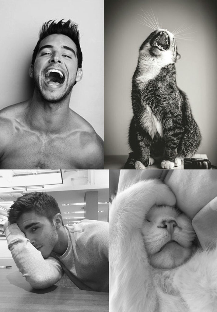 Sexy men and cats 3