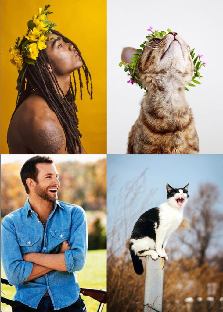 Sexy men and cats 4