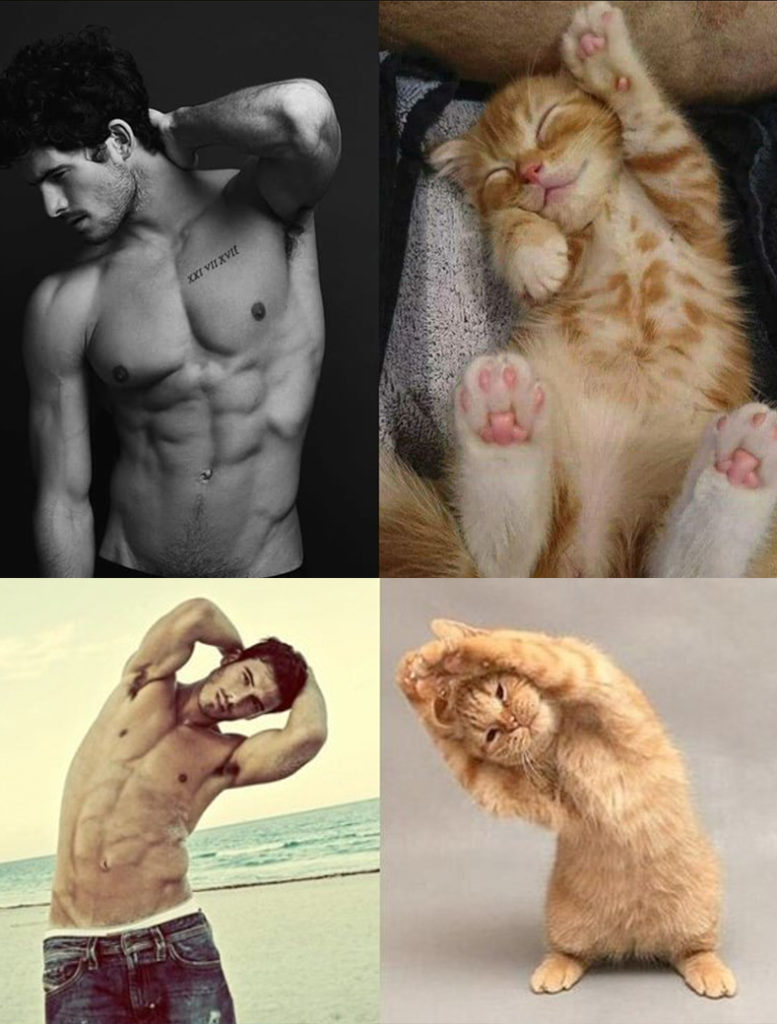 Sexy men and cats 5