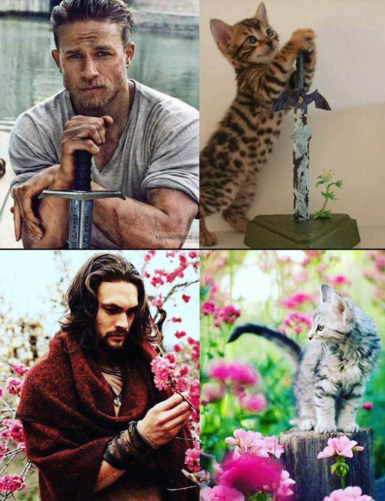 hunks and kittens 