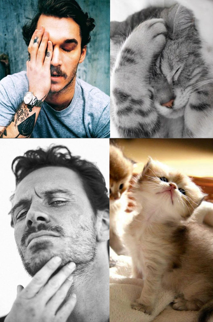 hunks and kittens