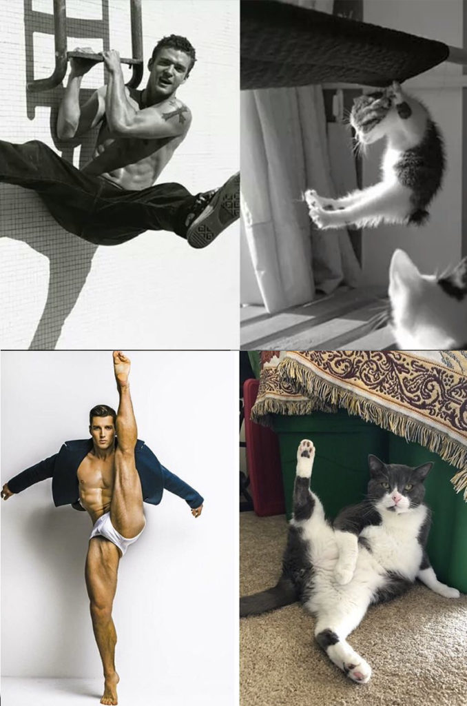 men in poses with cats