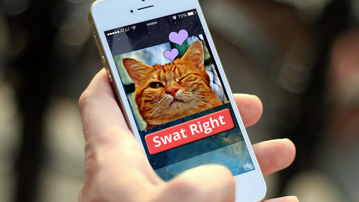 Animal Shelter Put Pets on Tinder and People are Swiping Right