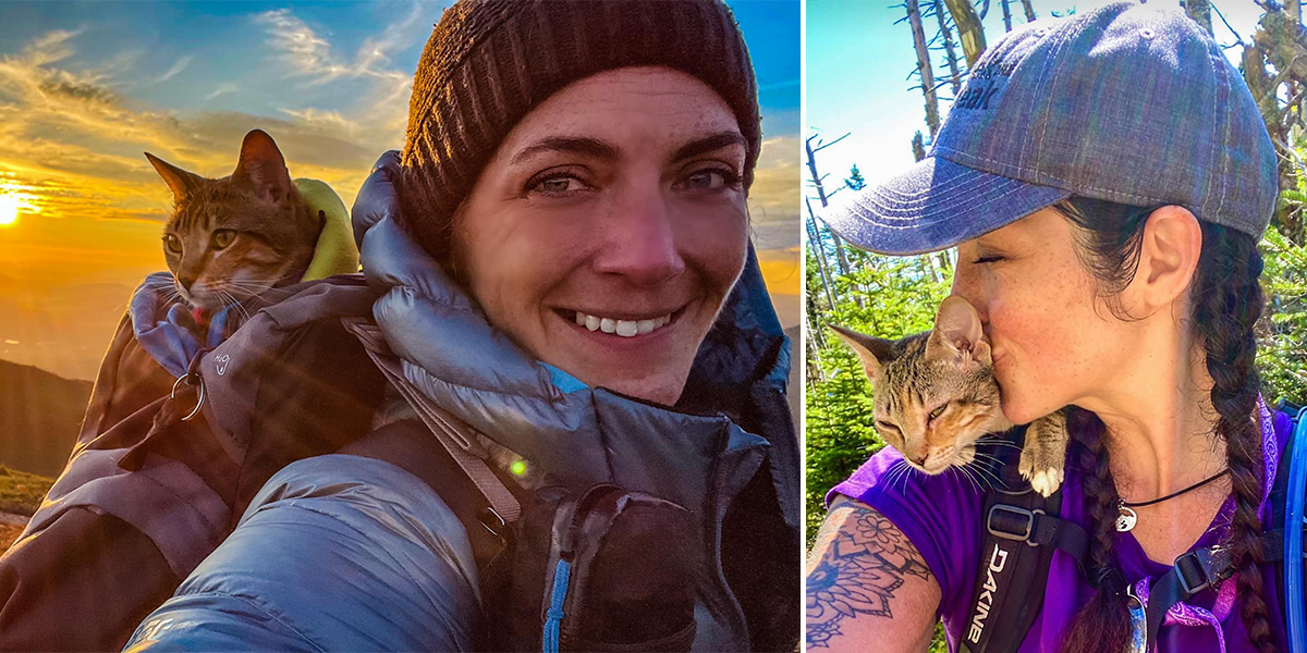 Floki the Adventure Cat, Climbs Mountains to Help the Shelter She's From