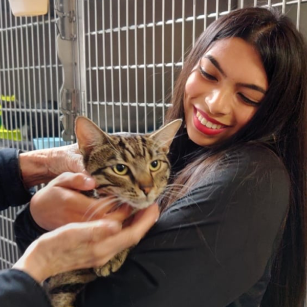 celia-hammond-goes-from-catwalks-to-cat-rescue