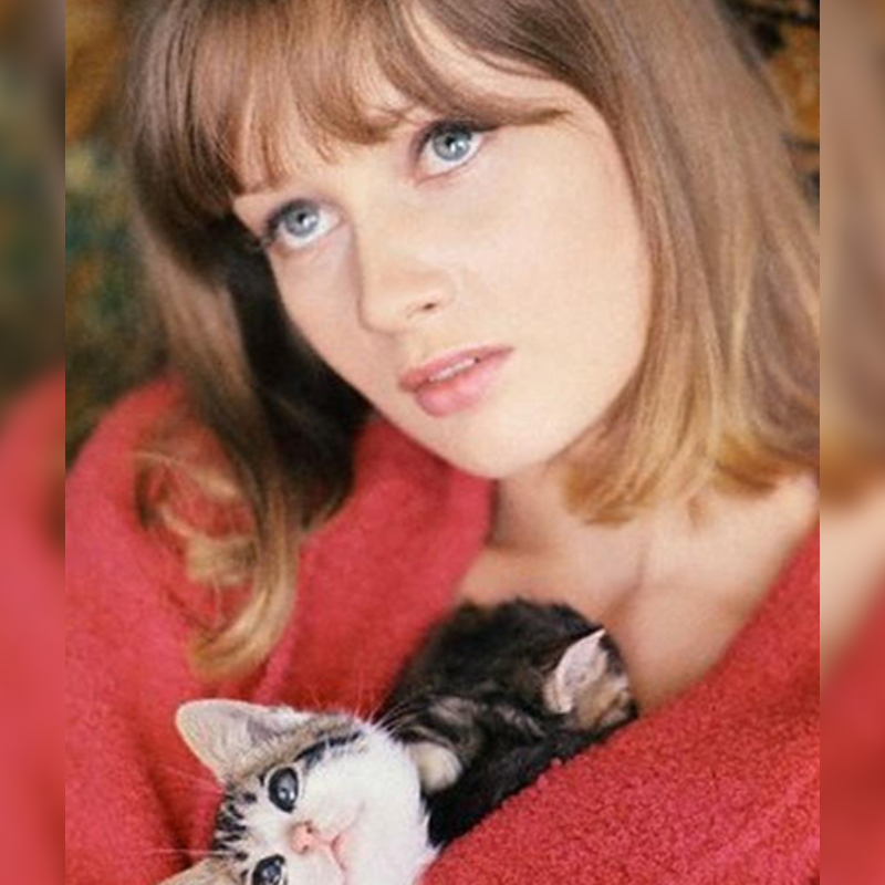 Celia Hammond with kittens