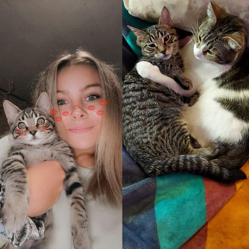 Laura Walker and kitties