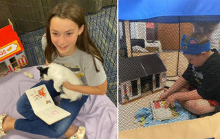 Grove City Area Pet Rescue Paws to Read event