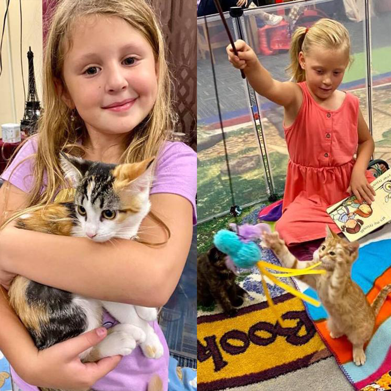 Grove City Area Pet Rescue Paws to Read event
