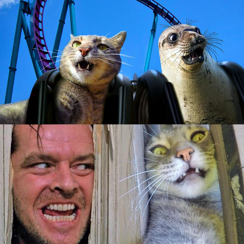 Roller Coaster and The Shining scene