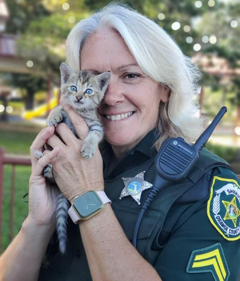 Corporal Pomerlea and kitten, Orange County
