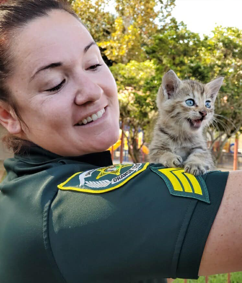 Kitten, Orange County Sheriff